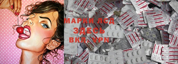 сатива Протвино