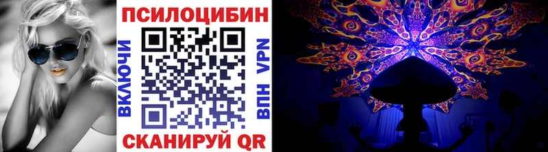 Псилоцибиновые грибы MAGIC MUSHROOMS  площадка официальный сайт  Абаза 